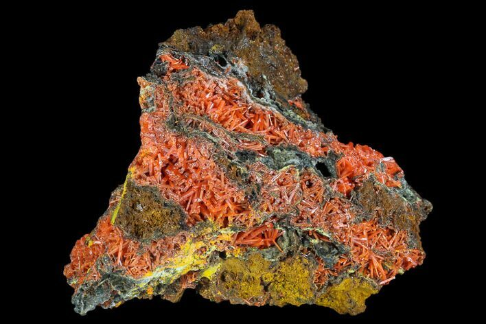 Bright Orange Crocoite Crystal Cluster - Tasmania #117610